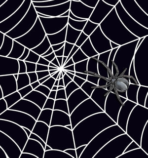 Gothic Spider Web Bikini